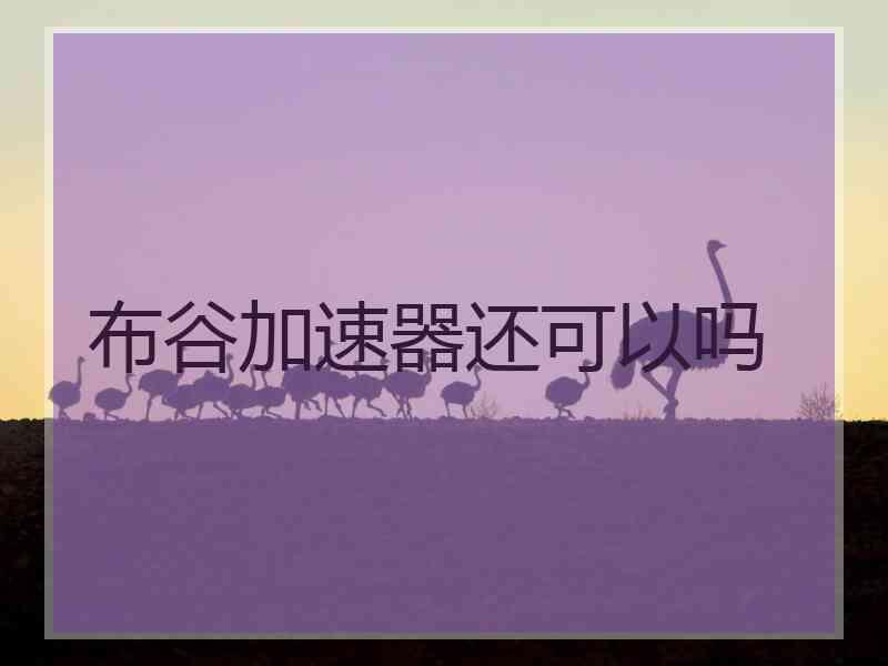 布谷加速器还可以吗