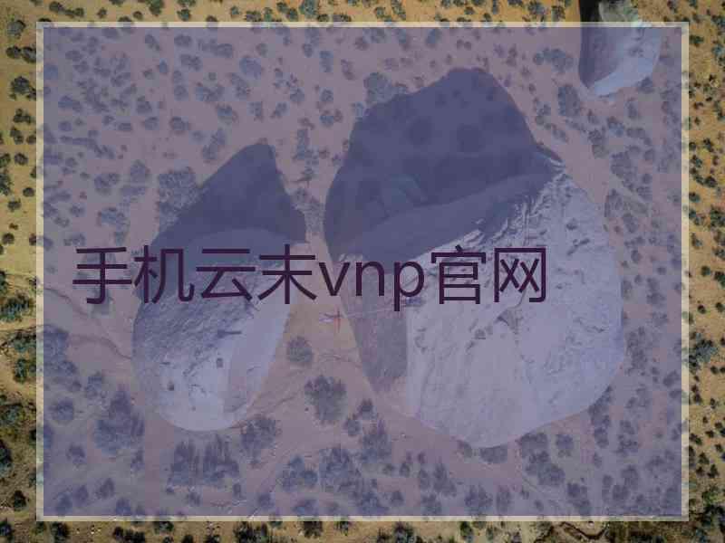手机云末vnp官网