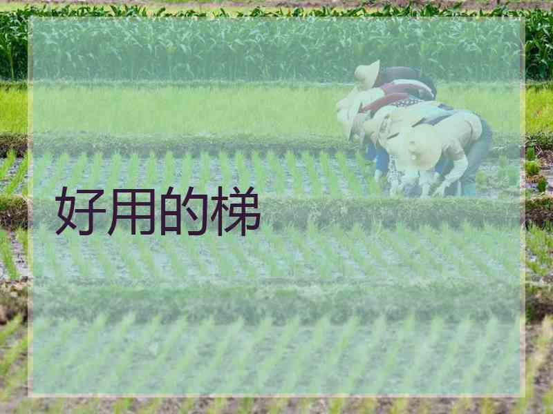 好用的梯