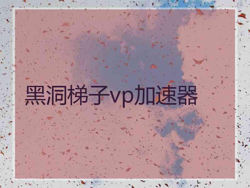 黑洞梯子vp加速器