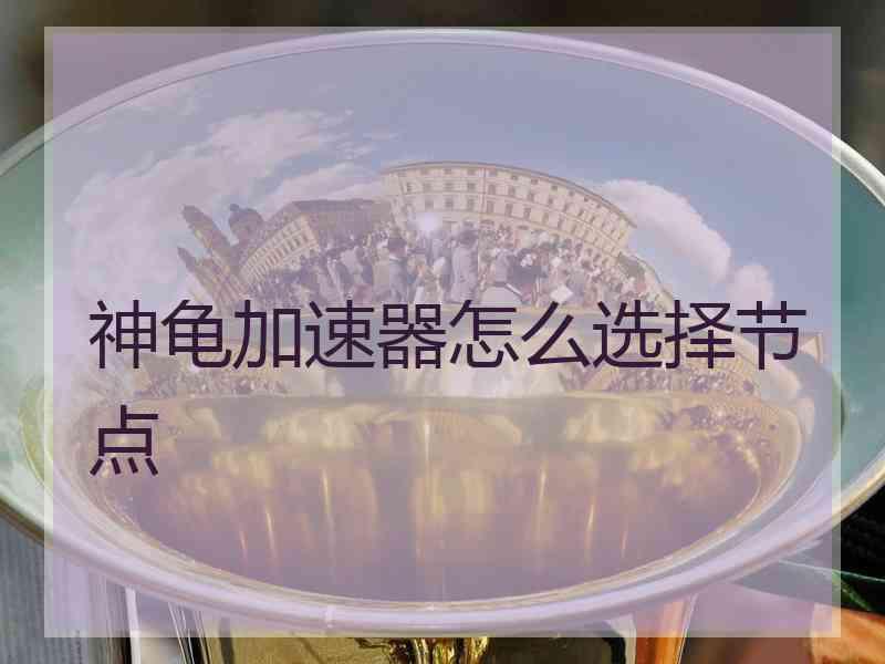 神龟加速器怎么选择节点