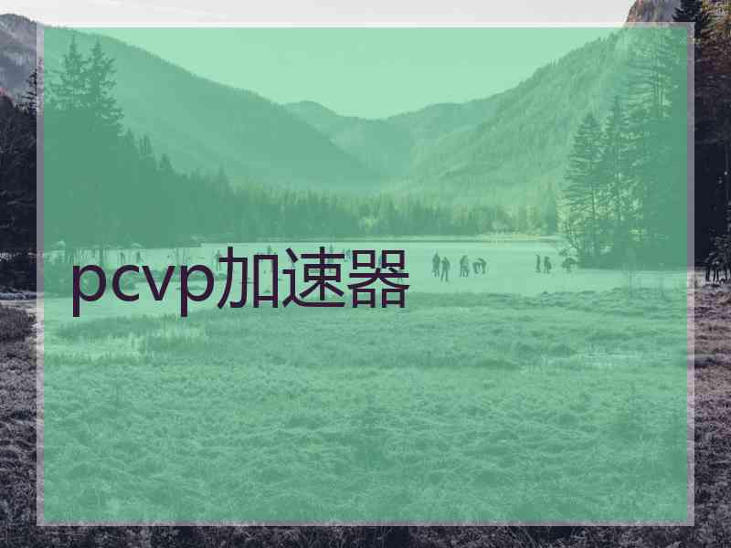 pcvp加速器