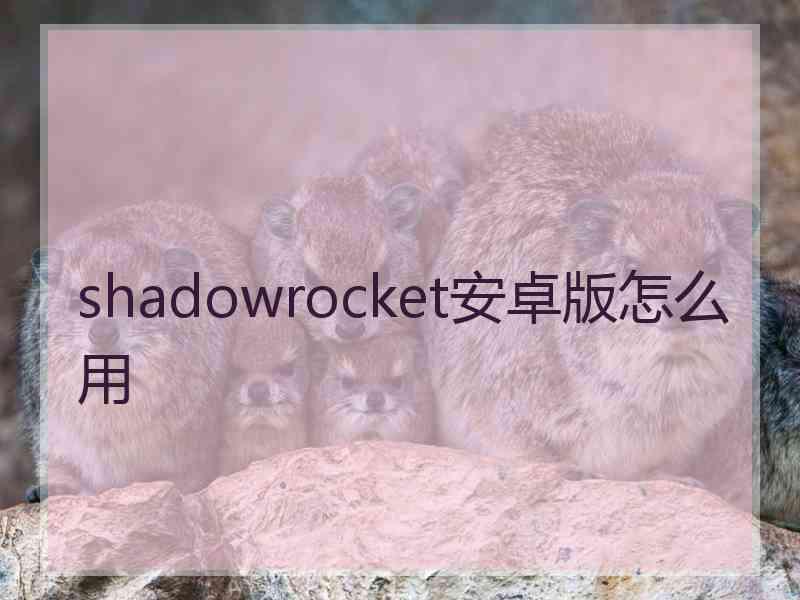shadowrocket安卓版怎么用