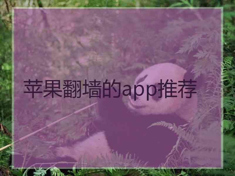 苹果翻墙的app推荐