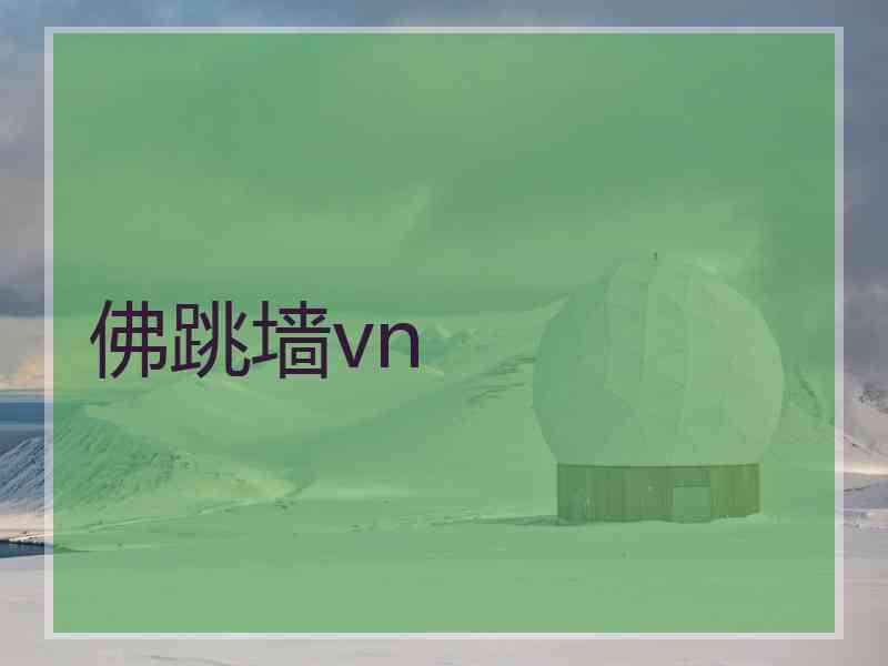 佛跳墙vn