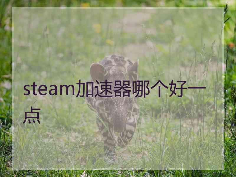 steam加速器哪个好一点