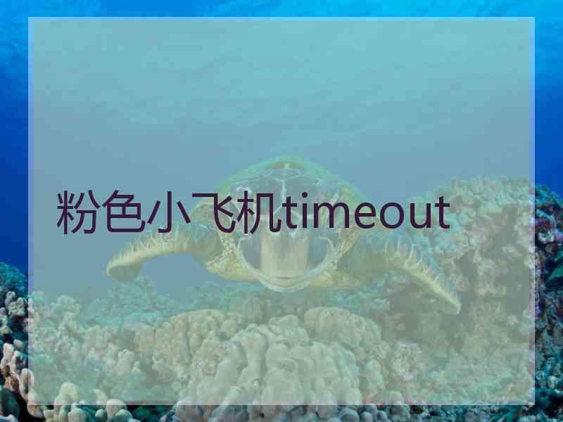 粉色小飞机timeout