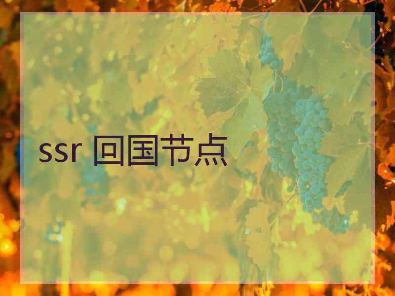 ssr 回国节点