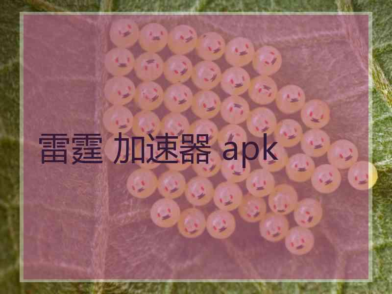 雷霆 加速器 apk