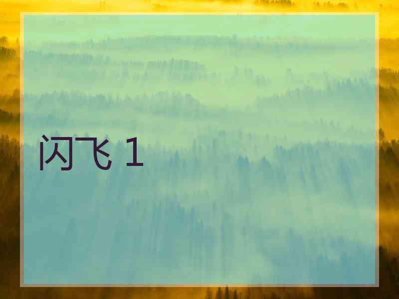 闪飞 1