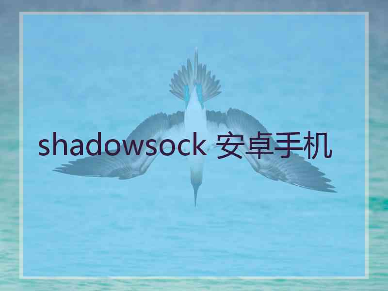 shadowsock 安卓手机
