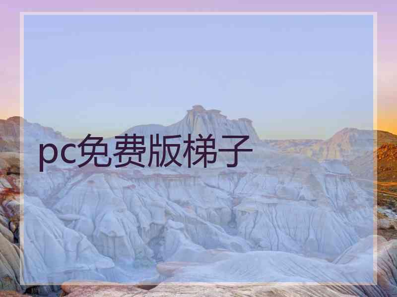 pc免费版梯子