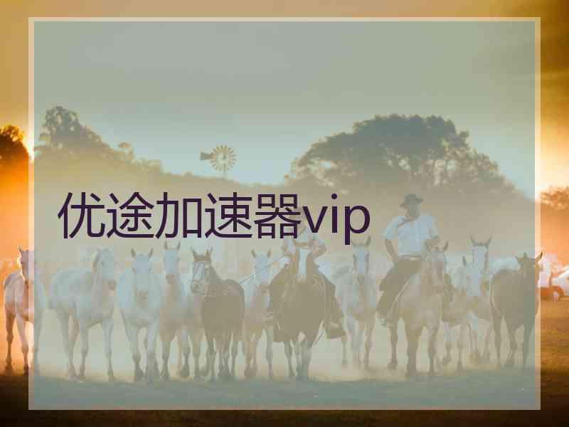 优途加速器vip