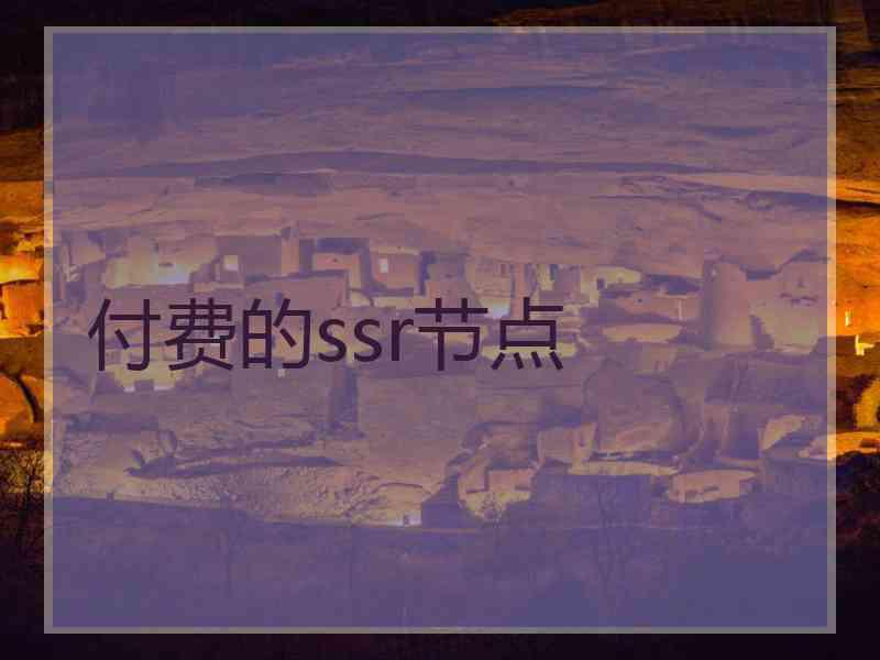 付费的ssr节点