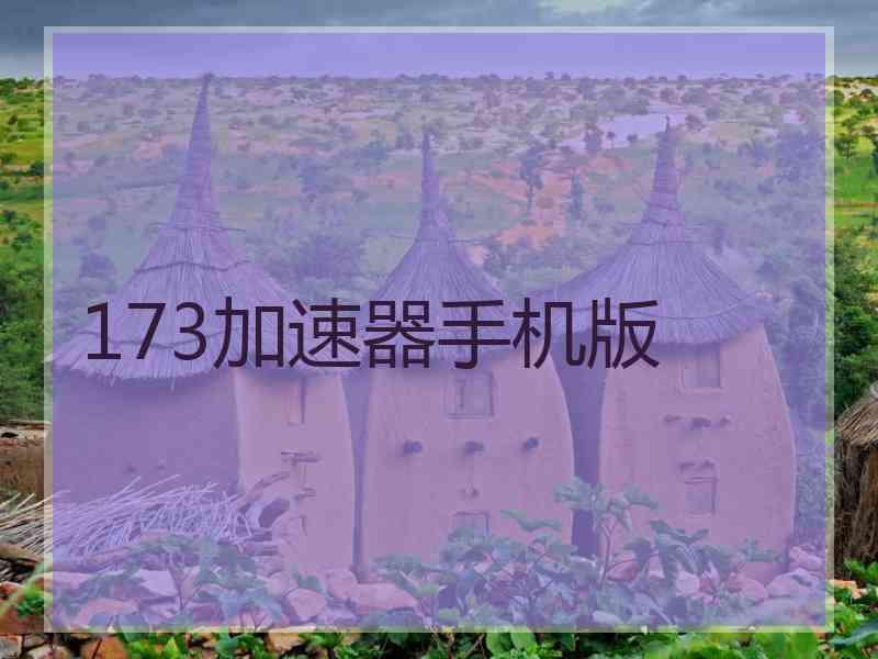 173加速器手机版