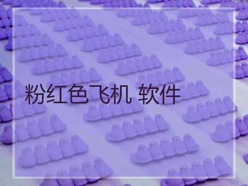 粉红色飞机 软件