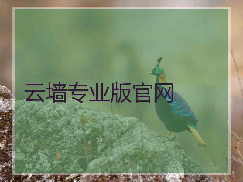 云墙专业版官网