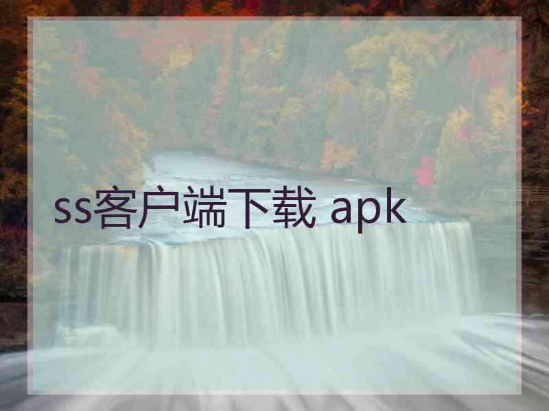 ss客户端下载 apk
