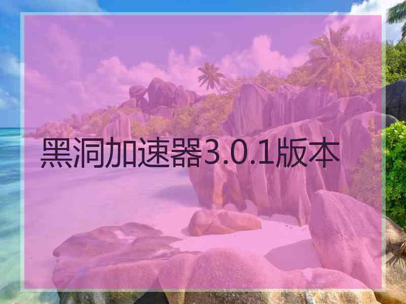黑洞加速器3.0.1版本