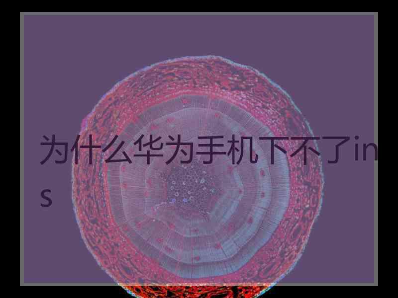 为什么华为手机下不了ins