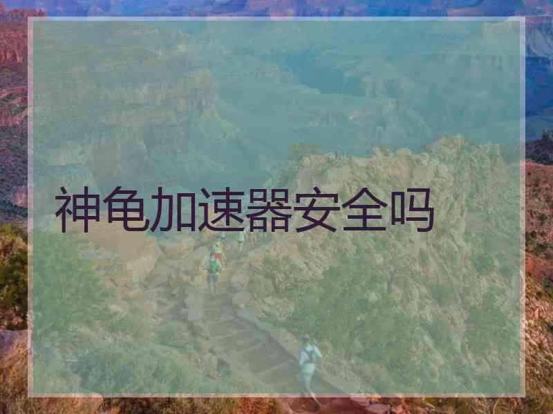 神龟加速器安全吗