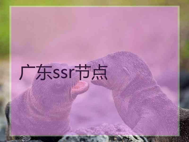 广东ssr节点