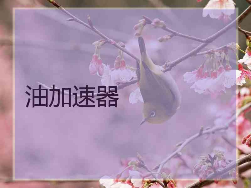 油加速器