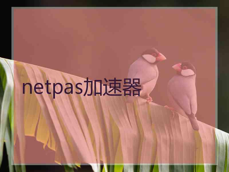 netpas加速器