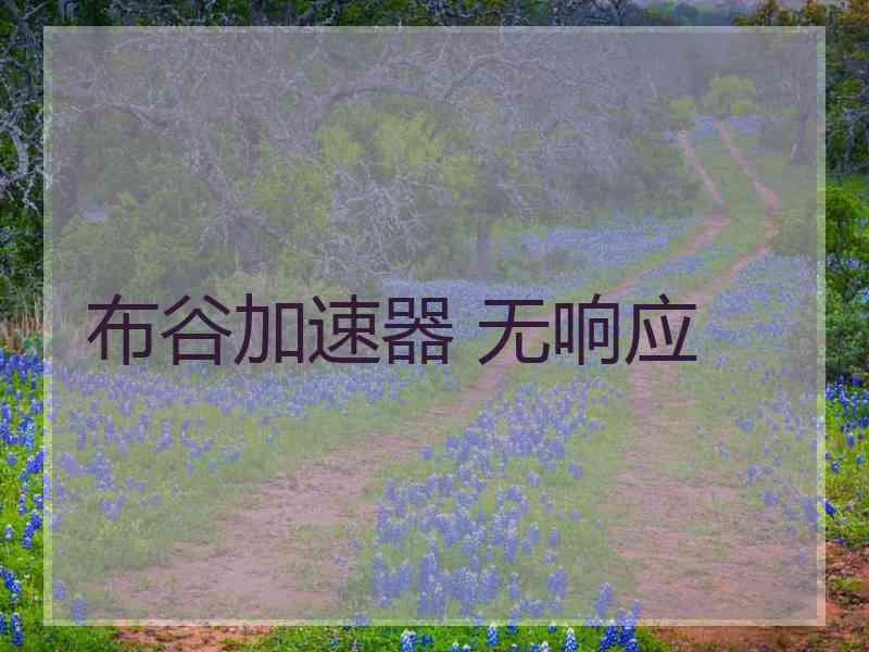 布谷加速器 无响应