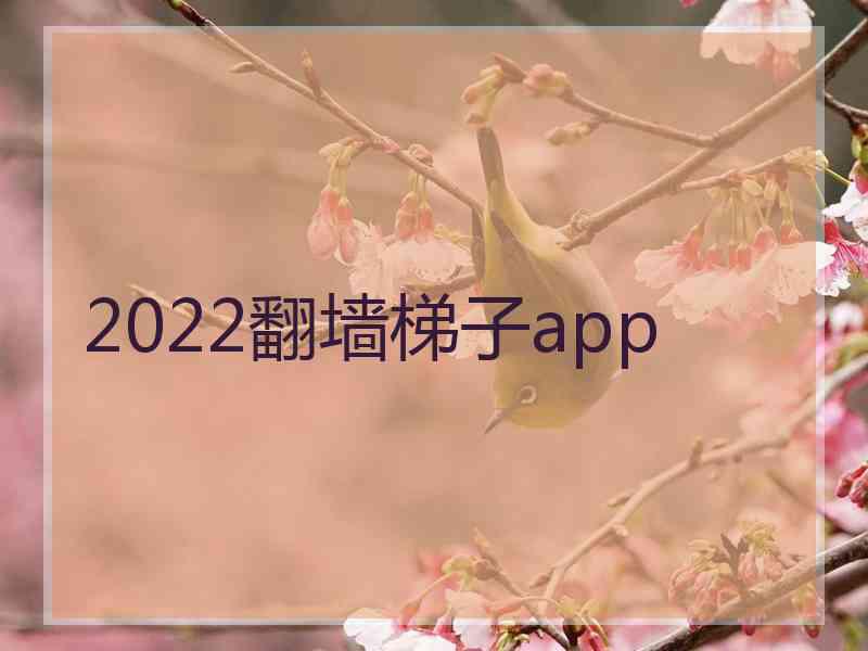 2022翻墙梯子app