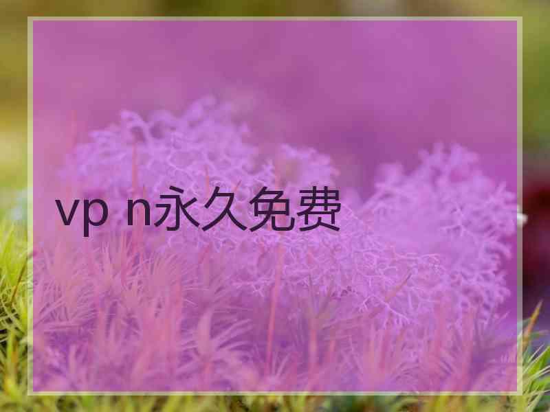vp n永久免费