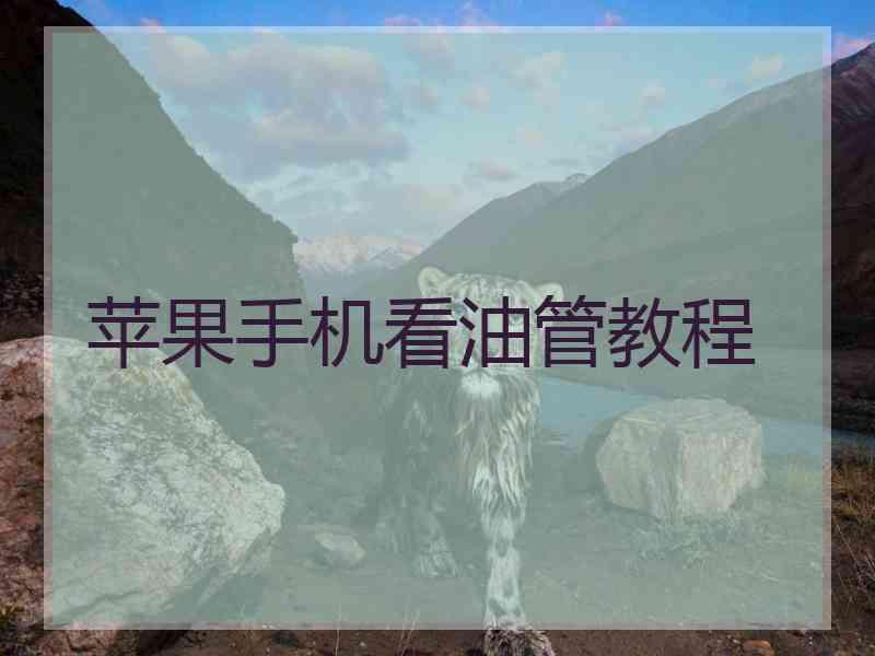 苹果手机看油管教程