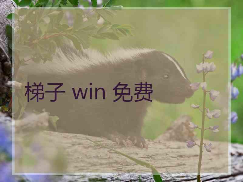 梯子 win 免费