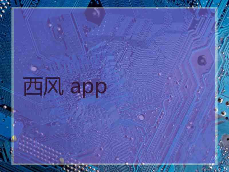 西风 app
