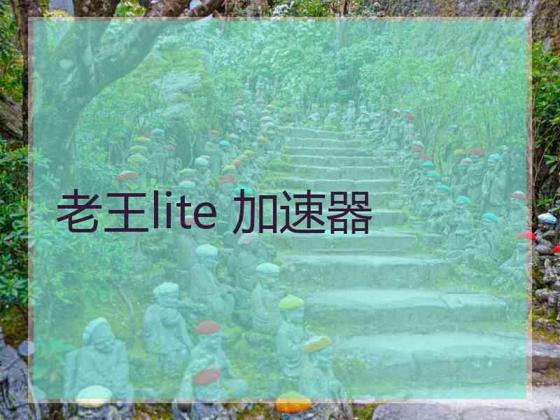 老王lite 加速器