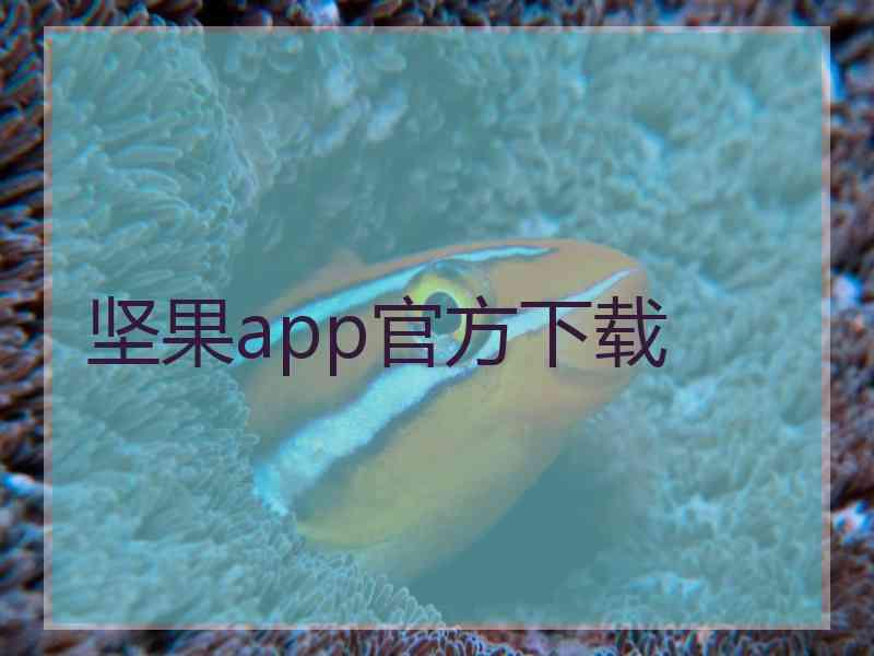 坚果app官方下载