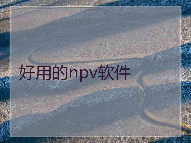 好用的npv软件