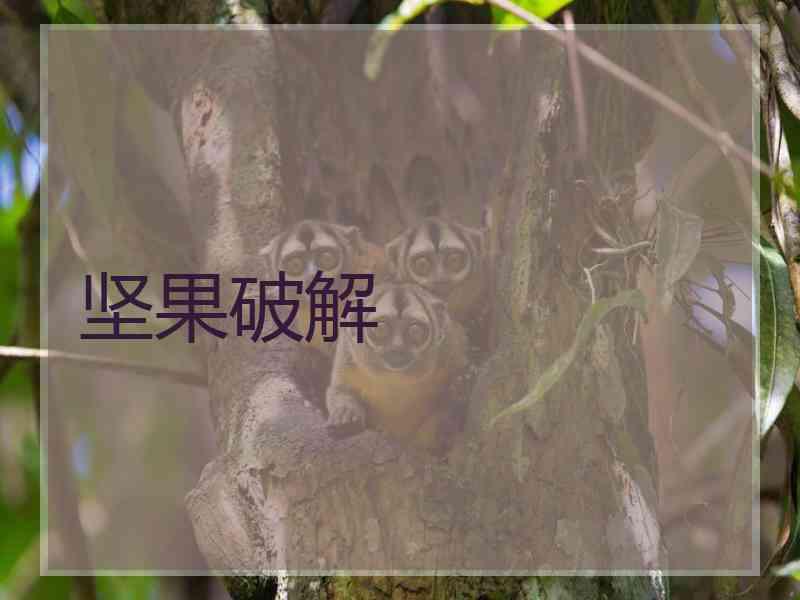 坚果破解