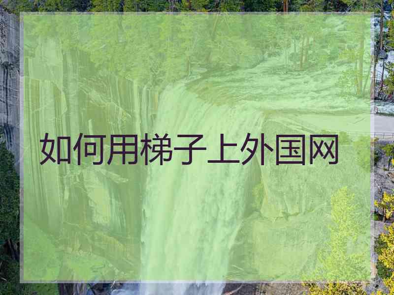 如何用梯子上外国网