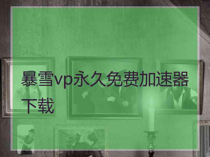 暴雪vp永久免费加速器下载