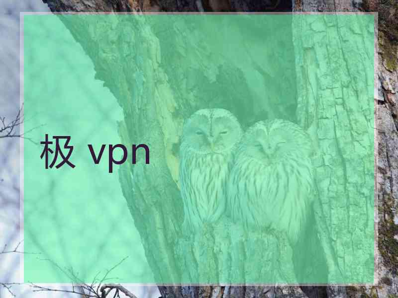 极 vpn