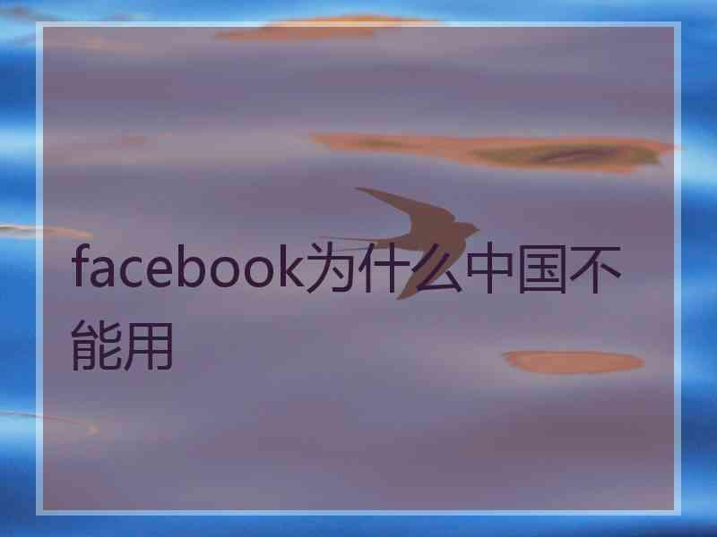 facebook为什么中国不能用