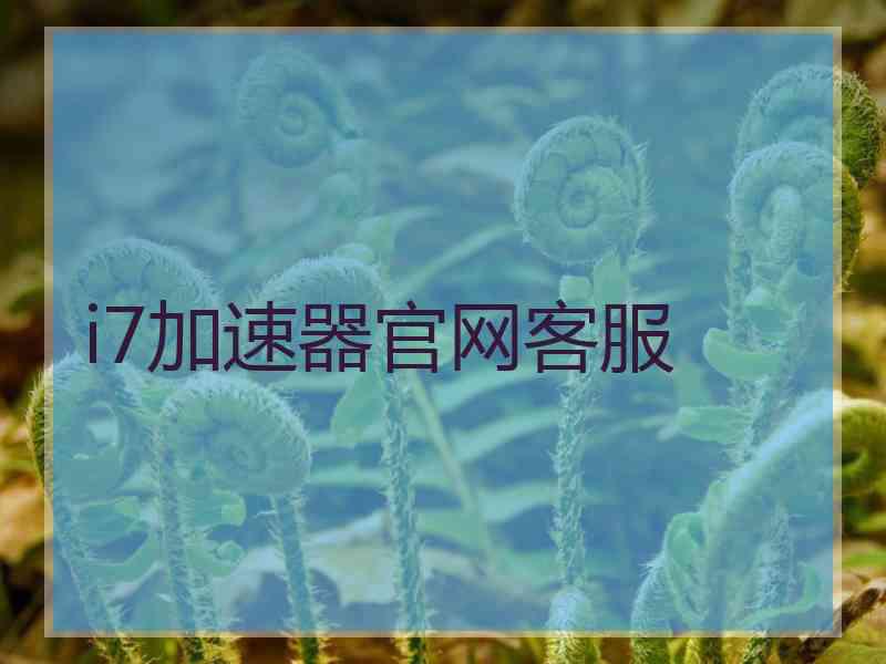i7加速器官网客服