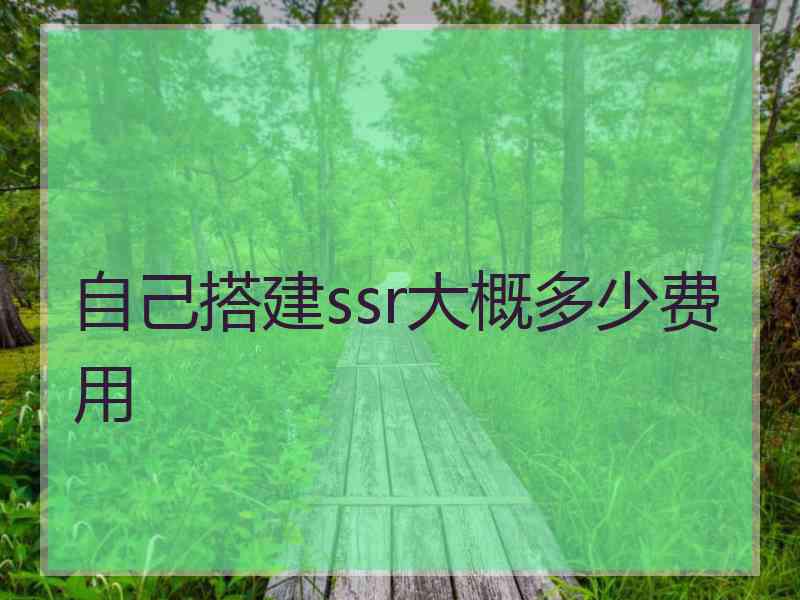 自己搭建ssr大概多少费用