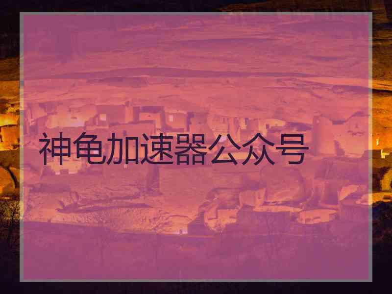 神龟加速器公众号