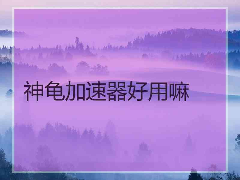 神龟加速器好用嘛