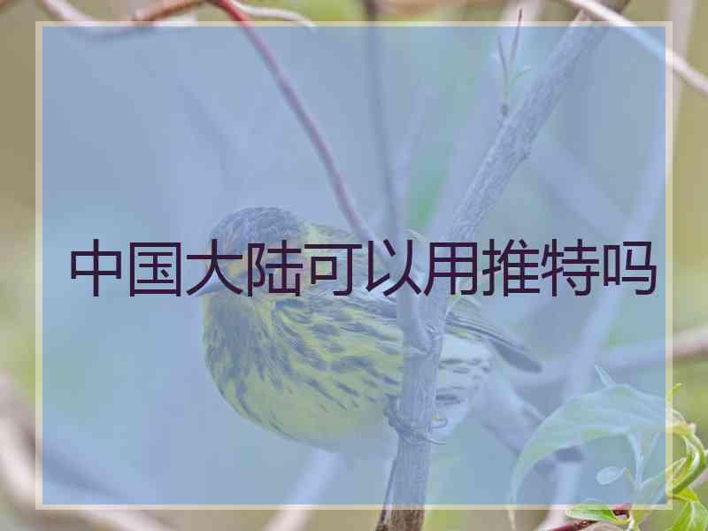 中国大陆可以用推特吗