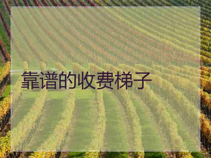 靠谱的收费梯子