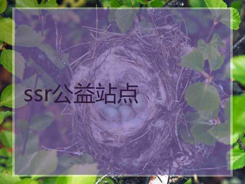 ssr公益站点