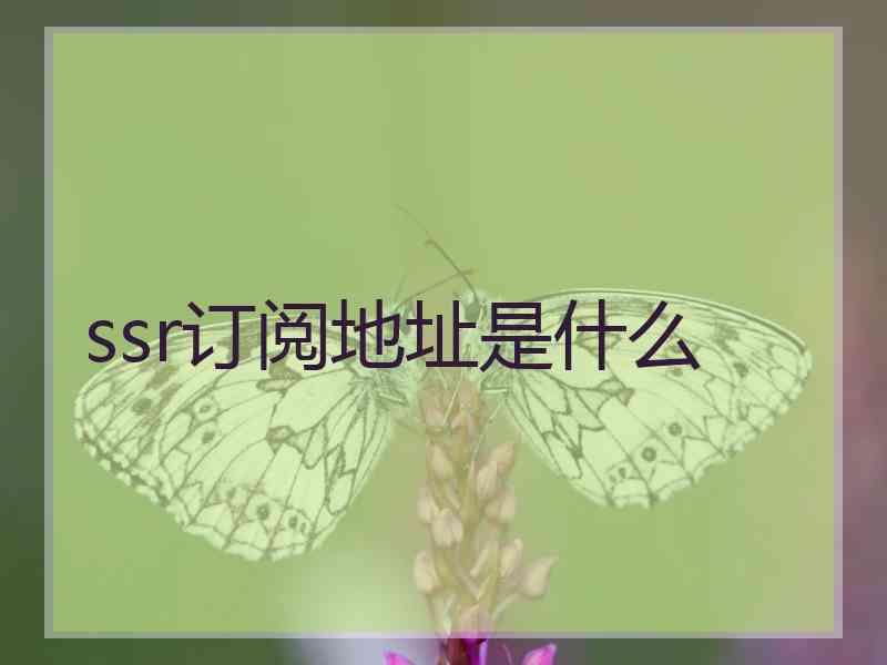 ssr订阅地址是什么